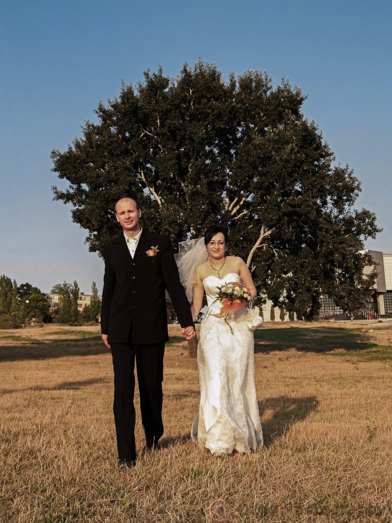 Ozgo Wedding Photography - Bride and Groom holding hands