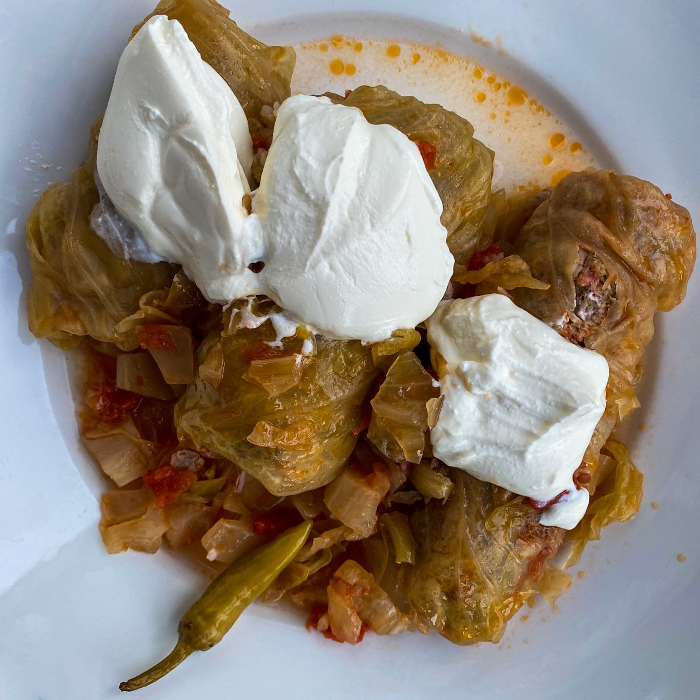 1282020 Romanian Cabbage Rolls Ozgo Productions